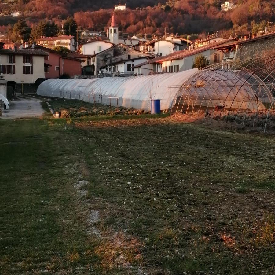 Agriturismo Corte Fontana App. Barbara Salo Luaran gambar
